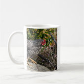Mug Poule Barred Rock (Gauche)