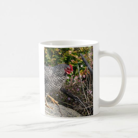 Mug Poule Barred Rock (Droite)