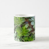 Mug Poules et poussins plantes (Centre)
