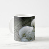 Mug Poulet blanc Silkie Photo (Devant gauche)
