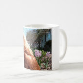 Mug Poulet timide (Devant droit)