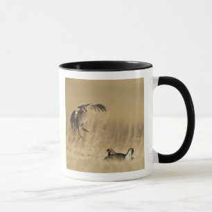 Mug Poulets de prairie mâles à poitrine dans le comté 
