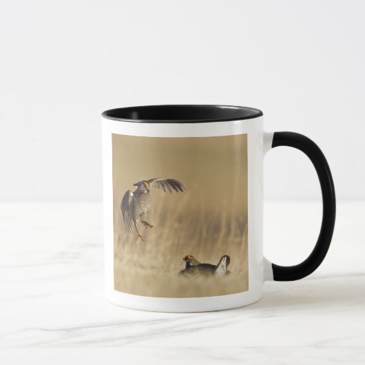 Mug Poulets de prairie mâles à poitrine dans le comté  (Droite)