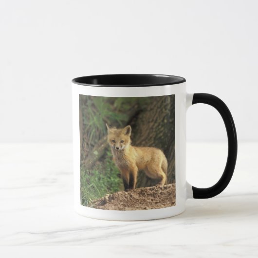 Mug Poupe Renard Rouge devant la tanière (Vulpes vulpe (Droite)