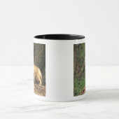 Mug Poupe Renard Rouge devant la tanière (Vulpes vulpe (Centre)
