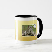 Mug Pourquoi les chiens trouvent-ils ceci si difficile (Devant droit)