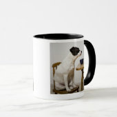 Mug Poursuivez se reposer sur une chaise devant une (Devant droit)