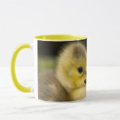 MUG POUSSINS CARESSANT (Gauche)