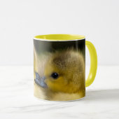 MUG POUSSINS CARESSANT (Devant droit)