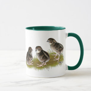 Mug Poussins de caille Coturnix