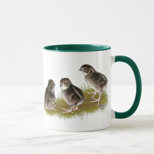Mug Poussins de caille Coturnix (Droite)