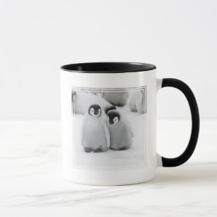 Mug Poussins de manchots empereurs sur la glace en Ant