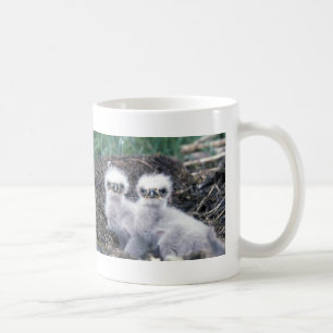 Mug Poussins d'Eagle chauve