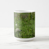 Mug Prairie (Centre)