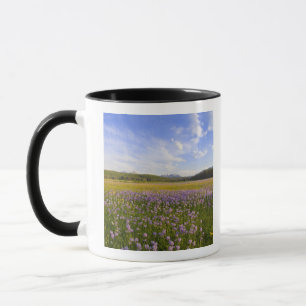 Mug Prairie de fleurs sauvages de penstemon dans les 2