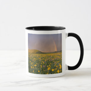 Mug Prairie de fleurs sauvages spectaculaire au lever