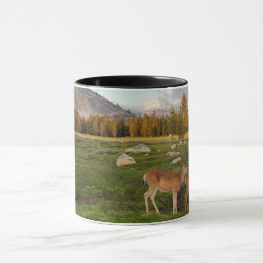 Mug Pré de Tuolumne, Yosemite (Centre)