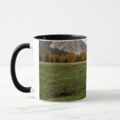 Mug Pré de Tuolumne, Yosemite (Gauche)