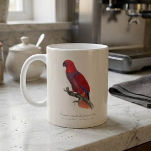 Mug Premiere variete du grand Lori / Eclectus perroque