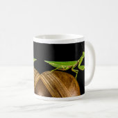 Mug Prier Mantis Gros plan (Devant droit)