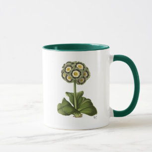 Mug Primula Auraria Bleu