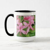 Mug Prinophyllum de rhododendron, azalée tôt (Gauche)