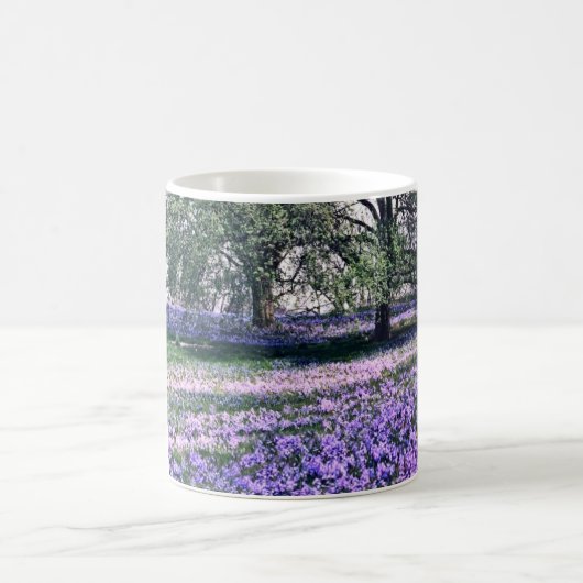 Mug Printemps aux jardins de Longwood (Centre)