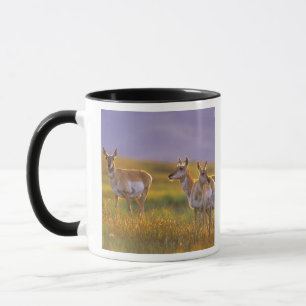 Mug Pronghorn Antelope dans le Montana