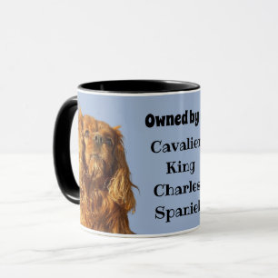 Mug Propriété D'Un Ruby Cavalier Roi Charles Spaniel