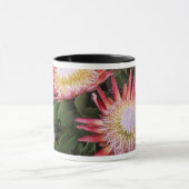Mug Protéa roi (Protea Cynaroides), Helderberg (Centre)