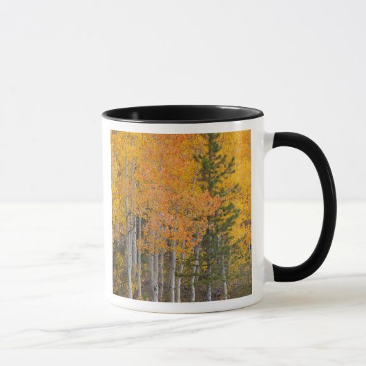 Mug Provo River et peupliers faux-trembles (Droite)