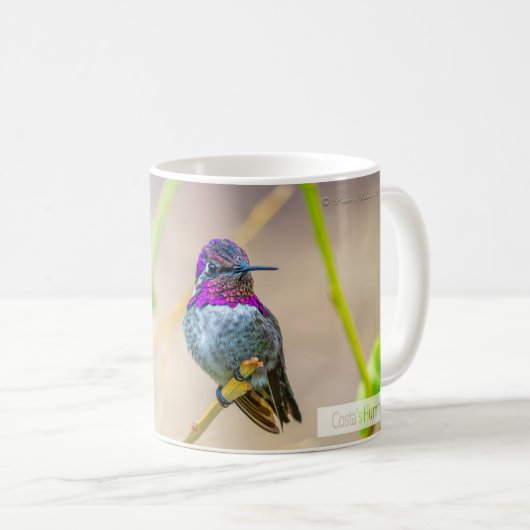 Mug Psaume colibri de Costa 145:4 KJV (Devant droit)