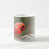 Mug Psaume du Cardinal du Nord 145:14 KJV (Centre)