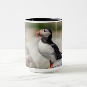 Mug Puffin Atlantique en Machias, Maine