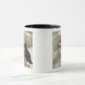 Mug Puffins de l'Atlantique sur l'île des phoques Mach (Centre)