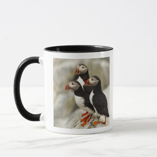 Mug Puffins de l'Atlantique sur l'île des phoques Mach (Gauche)