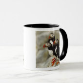 Mug Puffins de l'Atlantique sur l'île des phoques Mach (Devant droit)