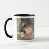Mug Puma, Californie (Gauche)