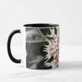 Mug Pureté rayonnante : photo de la fleur de l'algue b (Gauche)
