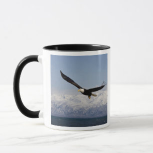 Mug Pygargue à tête blanche en vol, Haliaeetus leucoce