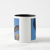 Mug pygargue à tête blanche, Haliaeetus leuccocephalus (Centre)