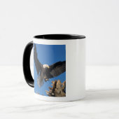 Mug pygargue à tête blanche, Haliaeetus leuccocephalus (Devant gauche)