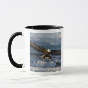 Mug Pygargue à tête blanche, Haliaeetus leucocephalus,