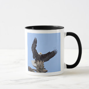 Mug Pygargue à tête blanche (Haliaeetus leucocephalus)