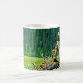 Mug Pygargue à tête blanche perché sur une branche (Centre)