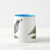 Mug Quail de la Californie (Centre)