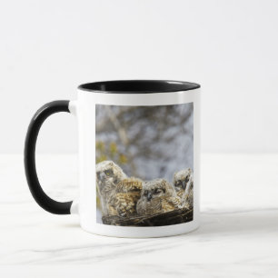 Mug Quatre grands poussins de hibou à cornes (Bubo