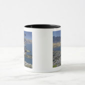 Mug Queenstown, Nouvelle Zélande (Centre)