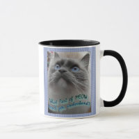 Quelle partie de Meow ne comprenez-vous pas ?