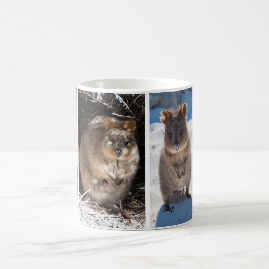 Mug Quokkas d'Australie (Centre)